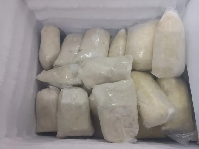 Polpa de Bacuri pura