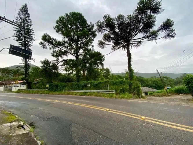 À venda | Terreno com 1531 m² - Ratones, em Florianópolis.