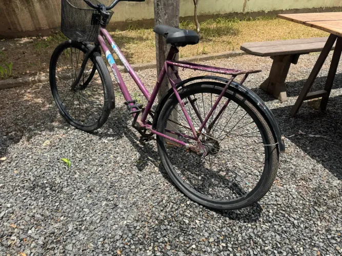 Lote de bicicletas