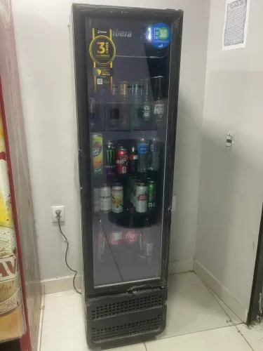 Freezer vertical