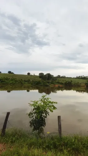 Fazenda de 25.5 alqueires quase toda formada no município de Dois Irmãos To.s
