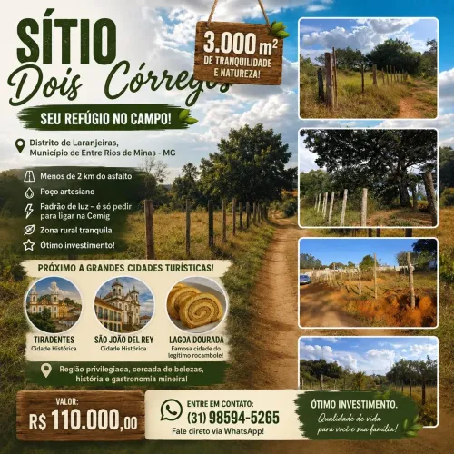 VENDO TERRENO/SÍTIO 3 MIL METROS QUADRADOS - ENTRE RIOS MG