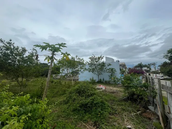 Terreno em Canasvieiras com 450 m² Plano e Pronto para Construir