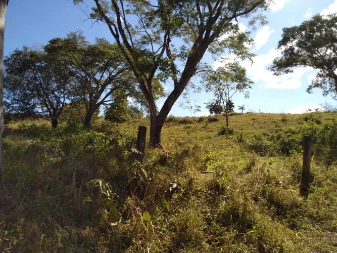 Sitio de 4 alqueires a venda 