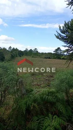 Lote em Est Rincão dos Kroeff - Rincão do kroeff - São Francisco de Paula/RS