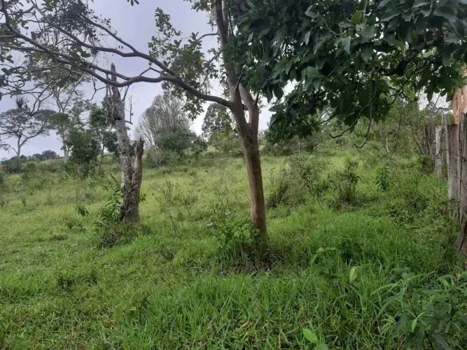 Venda Commercial / Land Lot Piedade Dos Gerais MG