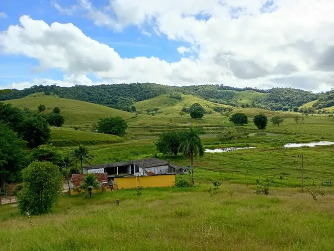 linda fazenda pecuária