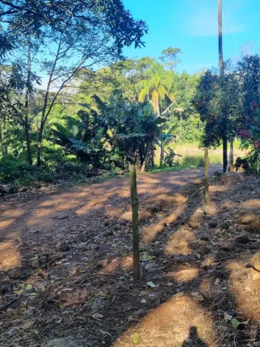 Terreno rural em Maquiné RS