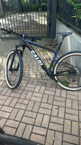 Bicicleta Caloi Elite Carbon Sport | TAM G -Aro 29 Mountain Bike ? Otimo estado | R$ 9.500
