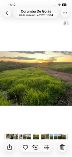 Fazenda com pasto formado