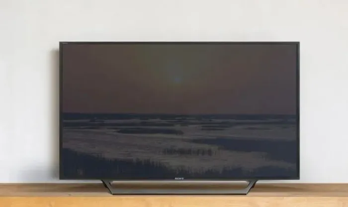 Smartv tv Sony 48"
