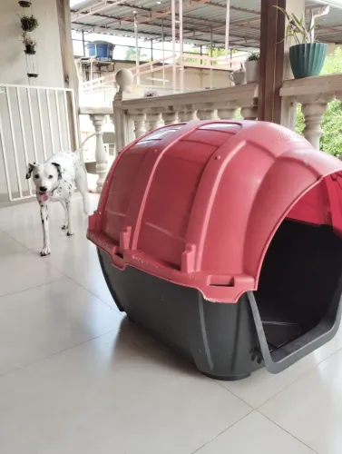 Casinha de cachorro 