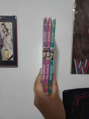 Mangá Karin (Vol 1, 2 e 3)