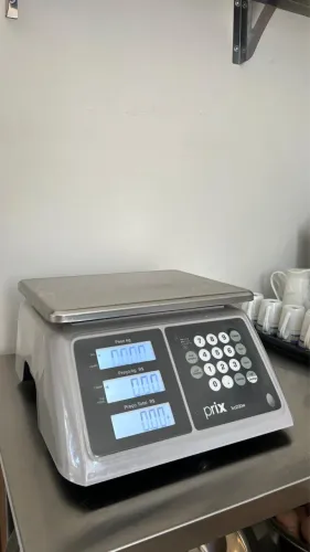 Balança Toledo BC200W 32kg A Prova D'água C/ Bateria Cor Cinza