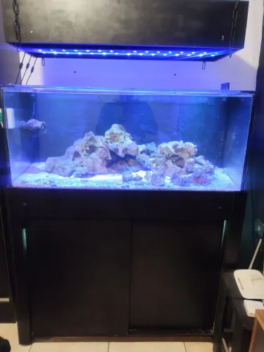 Aquário marinho aceito troca em PC ou peças novas de PC 