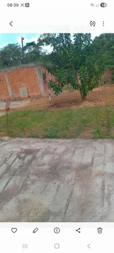 Vendo terreno co casa em fase de obras ,algumas plantações
