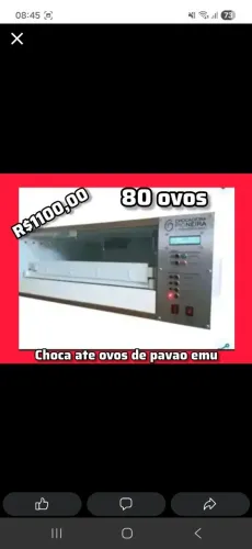 Chocadeira