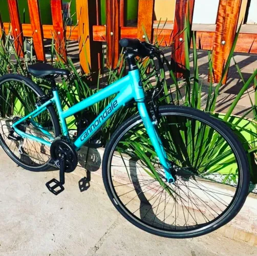 Bicicleta adulto Cannondale