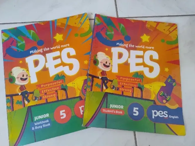 Livro Pes Positivo 5 Ano Fundamental.