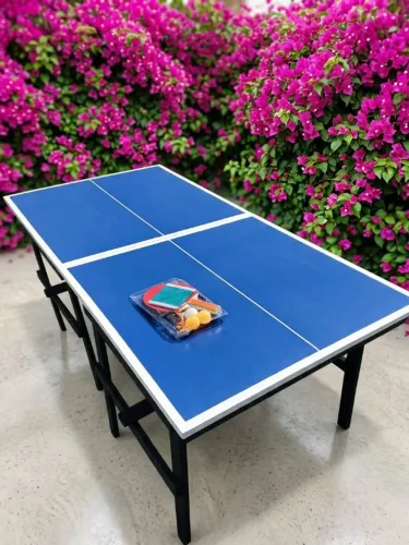Mesa de Ping Pong Dobrável Juvenil 18mm - Entrega para MG