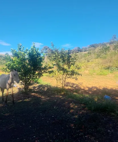 Vendo uma granja