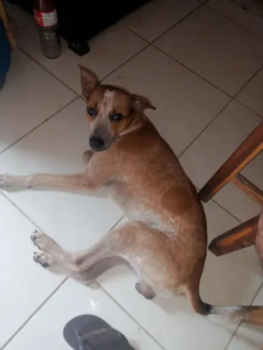 Doação