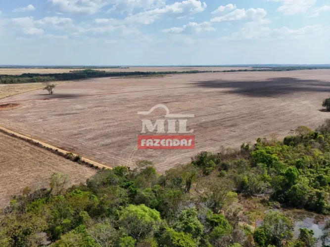 Fazenda 100 Alqueires (484 Hectares) Alvorada - TO