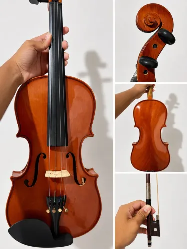 Violino