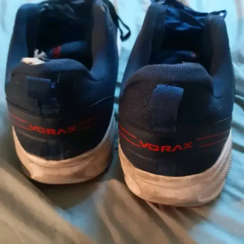 Tenis