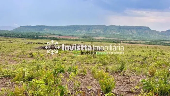 Fazenda de 140 alqueires com potencial para lavoura em Miracema/TO
