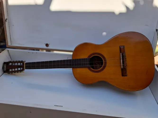 Viola Del Vecchio 10 cordas de 1995