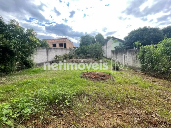 Venda Lote-Área-Terreno Fluminense Florestal