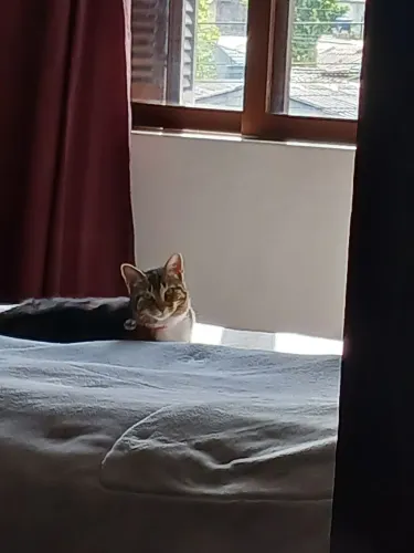 Doa se gata
