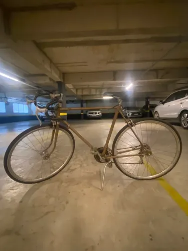 Relíquia Monark Speed Antiga