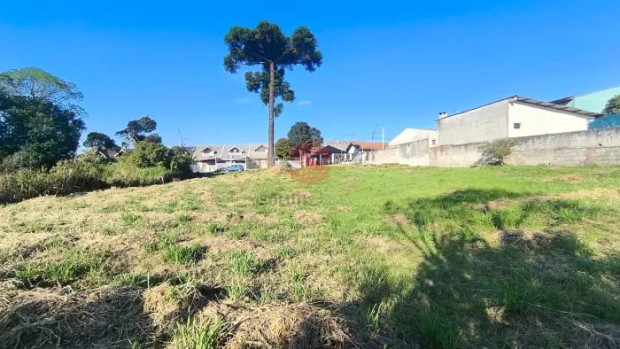 Terreno comercial para locação em Ouro Verde, Campo Largo/PR