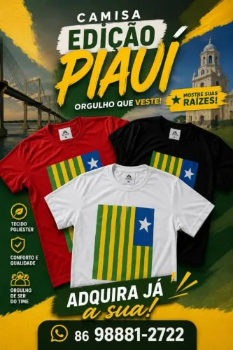 Camisa Bandeira do Piauí
