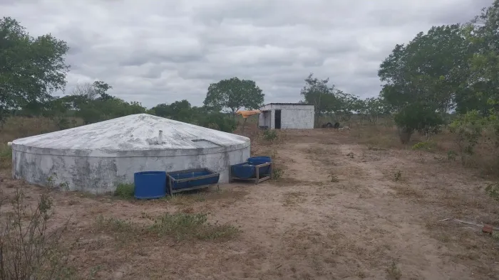 Vende-se sítio com 8 tarefas, todo beneficiado, em Valente-BA