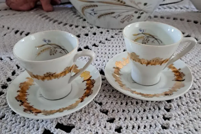 Xícaras de cafezinho Porcelana Schmidt