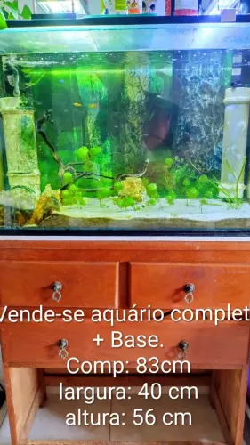 Aquário completo com Base.