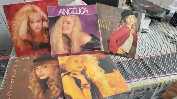 Coleção de Discos de Vinil Angélica