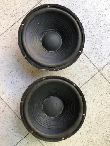 Auto falantes de 12 polegadas