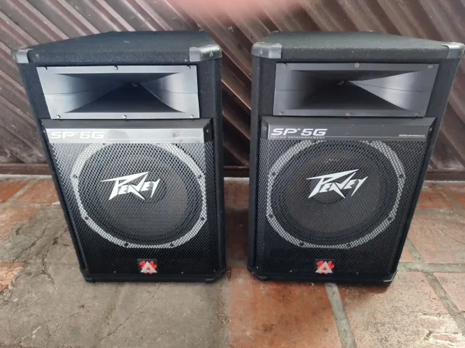 2 Caixas Peavey USA SP5G 15 polegadas