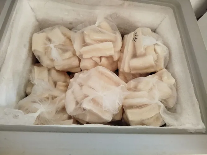 Vendo mandioca descascada e congelada
