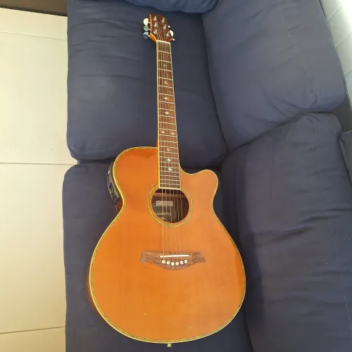 Violão de aço Strinberg