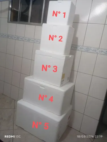 LOTE DE CAIXAS DE ISOPOR COM TAMPA - DIVERSOS TAMANHOS
