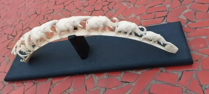 Escultura em ponte de Marfim com 72 cm de envergadura