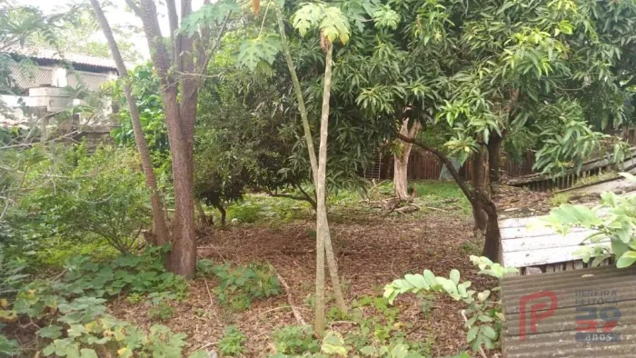 Terreno à venda, 1.995 m² - R$ 1.000.000,00 - Centro - Bacabal/MA