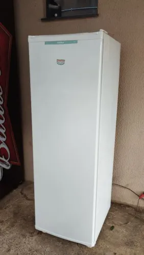 Freezer vertical