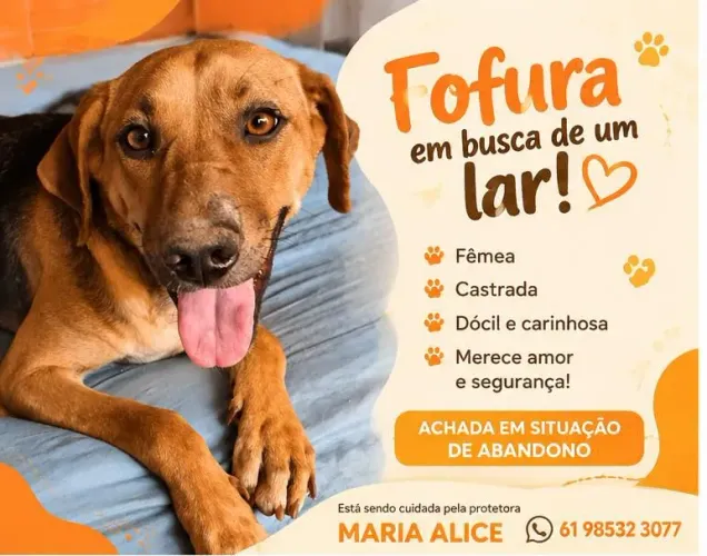 Doação 