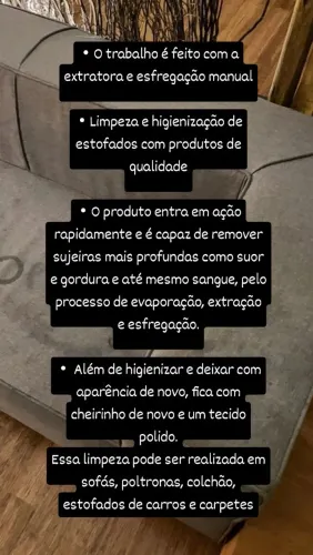 Limpeza e higienização de estofados em geral.